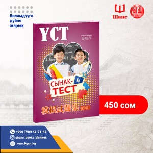 YCT 4